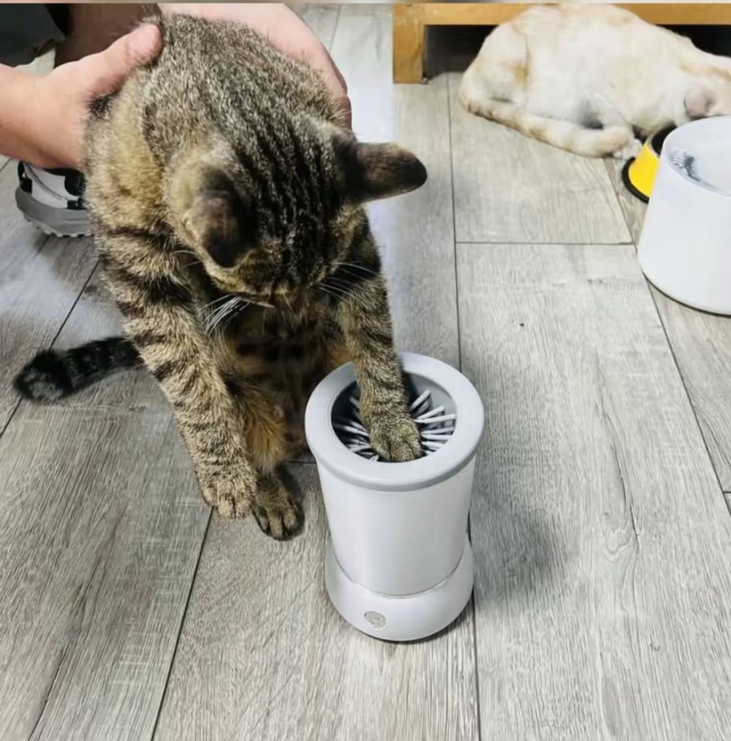 Lavapatas Automatico Para Mascotas